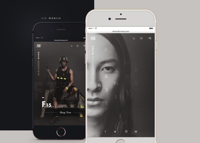 alexander-wang-mobile-app-design-inspiration