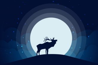 moonlight-vector-illustration-tutorial